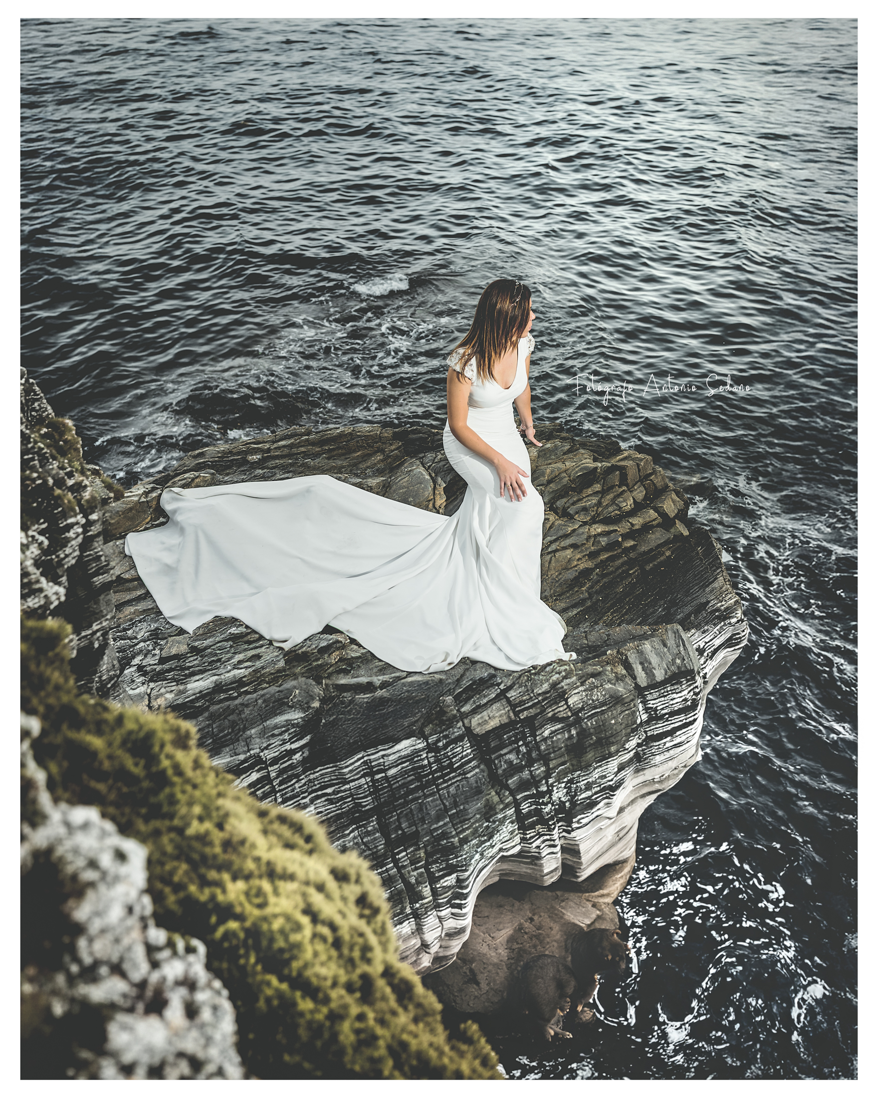 fotografía de bodas